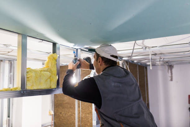 Best Insulation Materials and Products in Albany, LA